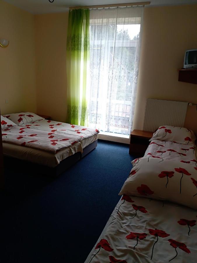 Hotel Osrodek Wypoczynkowy Ognisko Krynica-Zdrój Exteriér fotografie